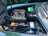 IMG_2034.jpeg