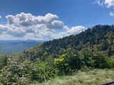 IMG_2042.jpeg
