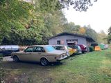 IMG_2060.jpeg