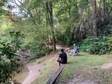 IMG_2100.jpeg
