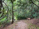 IMG_2108.jpeg