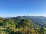 IMG_2117.jpeg