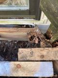 IMG_3047.jpeg