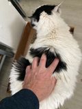 IMG_3470.jpeg