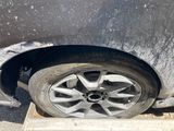 IMG_7132.jpeg
