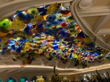 IMG_9594.jpeg
