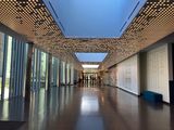 IMG_0580.jpeg
