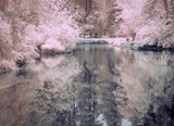 Sitting at the end of the pond