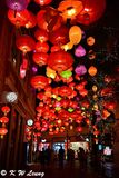 Lanterns DSC_3877