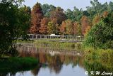 Wetland Park DSC_1445