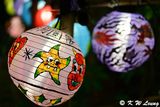 Lanterns @ Blue House DSC_0656