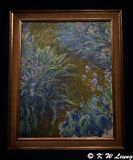 Irises by Claude Monet DSC_6121
