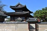 Deoksugung Palace DSC_1139