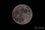 Blue Supermoon