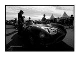 Jaguar D Type, Le Mans