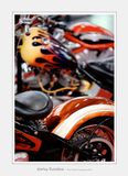 Harley-Davidson 13