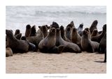 Namibia 2023 - Namib Desert 3