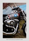 Bike 131