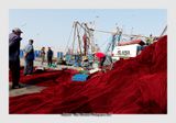 Essaouira - Morocco - 7