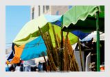 Essaouira - Morocco - 75