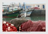 Essaouira - Morocco - 111