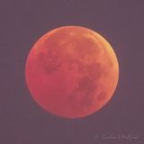 20221108 Total Lunar Eclipse At Dawn 90D42312