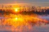 Misty Irish Creek Sunrise Reflected 90D42532-6