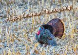 Happy American Thanksgiving 90D21604