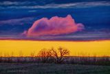 Cloud Bank Beyond Lone Cloud At Dawn 90D46747-51