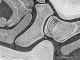 Abstract DSCN116998