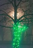 2022-23 Celebration of Lights In Night Fog 90D49137