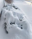 Shrubbery Under Snow iPhoneXR1113