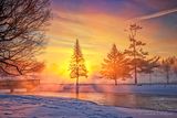 Turtle Island In Steam Fog At Sunrise 90D54477-81