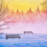 Steam Fog Beyond Turtle Island Benches At Sunrise 90D54415