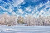 Frosty Winter Landscape 90D54803-7
