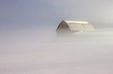 Barn In Winter Night Ground Fog 90D54952