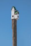 High-rise Birdhouse P1090736