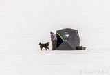 Dog With Ice Fisherman DSCN120804