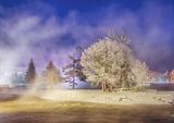 Frosty Turtle Island In Steam Fog At Dawn 90D56240-4