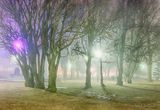 Centennial Park In Night Fog 90D59891-5