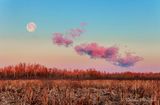 April Pink Moon At Sunrise 90D61074