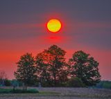 Clouded Sunrise Beyond Three Trees 90D65007-11