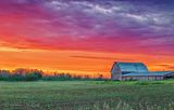 Barn At Sunrise 90D70027-31