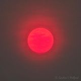 Red Sun Through Wildfire Smoke DSCN135949