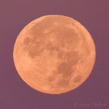 Reddish Blue Moon Setting DSCN144896