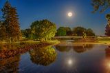 2023 Blue Moon Beyond Duck Island Footbridge 90D79949-53
