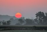 Red Sun Rising 90D80763-7