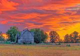Sunrise Clouds Beyond Barn 90D83622-6