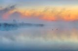 Two Geese In Misty Otter Creek At Sunrise 90D84764-8