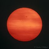 Sunspots 25 September 2023 (DSCN147437)